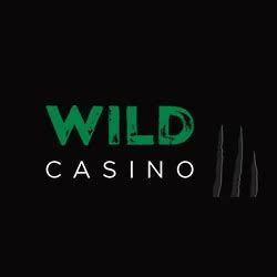 wild casino promo hmdi