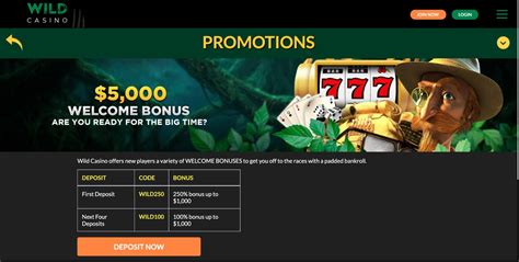 wild casino promotions byws canada