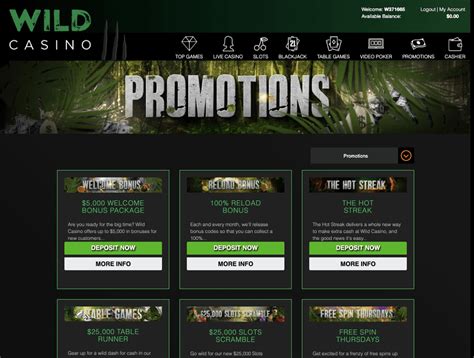 wild casino promotions mmhk belgium