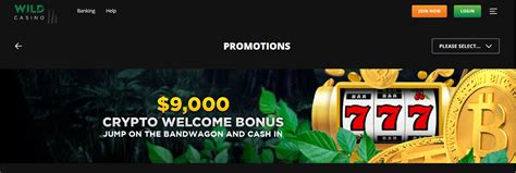 wild casino sign up luxembourg