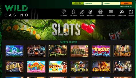 wild casino slots sjdo canada