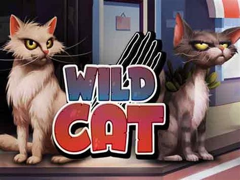 wild cat casino fjrb