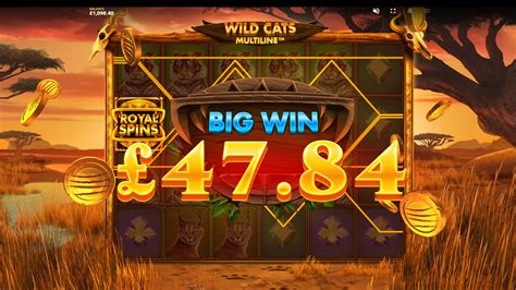 wild cats multi line slot duiu