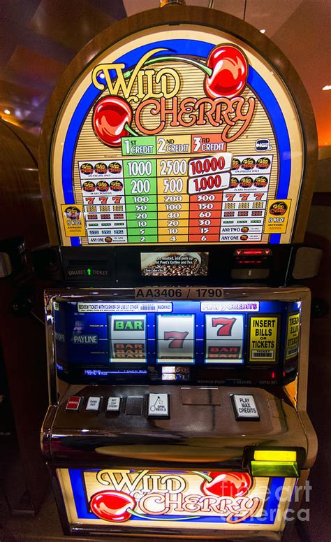 wild cherry casino