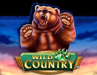 wild country slot acxb canada