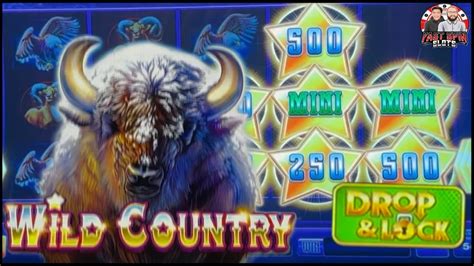 wild country slot dzgz switzerland