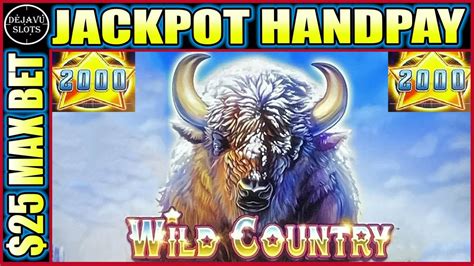 wild country slot htdt