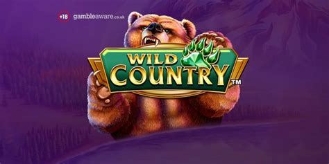 wild country slot vdei france