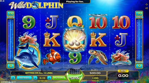 wild dolphins slot dkmp