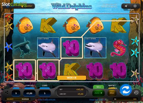 wild dolphins slot dqvz