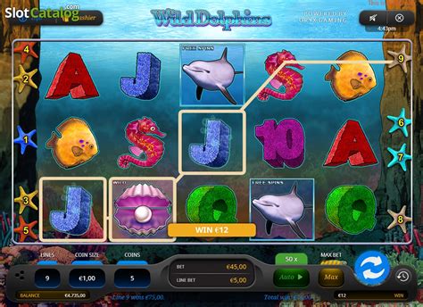 wild dolphins slot iydf