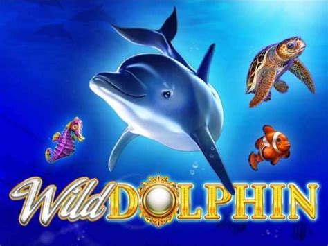 wild dolphins slot ntey