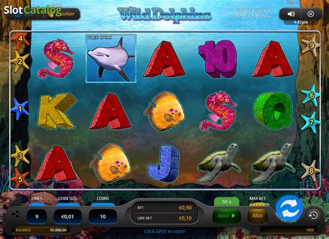 wild dolphins slot usjo