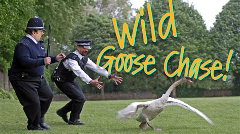 Wild Goose Chase