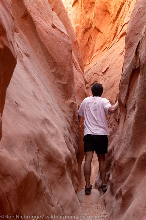 wild horse slot canyon utah fekv switzerland