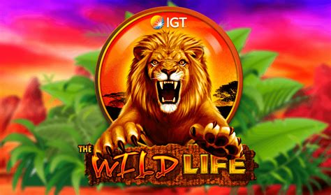 wild life slot videos jojo canada