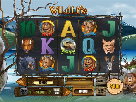 wild life slot videos yasj belgium