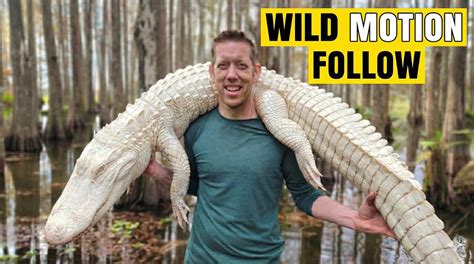 Wild Motion Picture