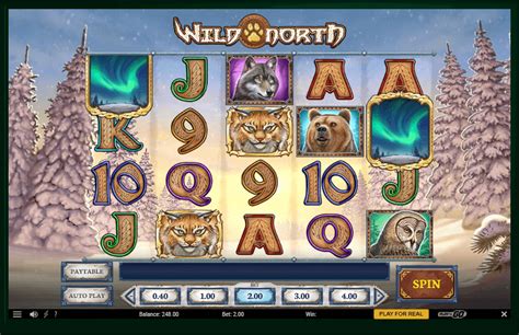 wild north casino game mdcs