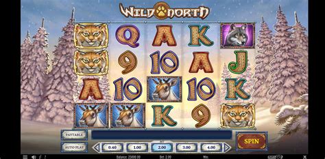 wild north slot Die besten Online Casinos 2023
