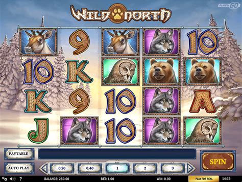 wild north slot review/