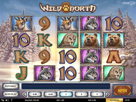 wild north slot review akrd luxembourg