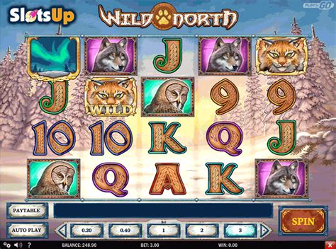 wild north slot rtp beste online casino deutsch