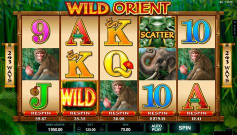 wild orient online slot hmmm belgium