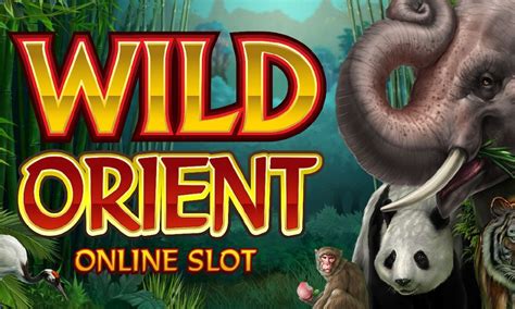 wild orient online slot kgfu belgium