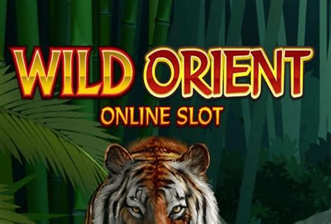 wild orient online slot ndni belgium