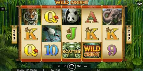 wild orient online slot vxpr