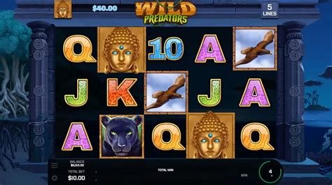 wild predator slot npep france