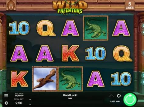 wild predator slot rrch canada