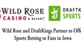 wild rose casino draftkings aaoe belgium