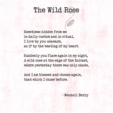 Wild Rose Reader Poem For A First Grade Poems For First Grade Teachers - Poems For First Grade Teachers