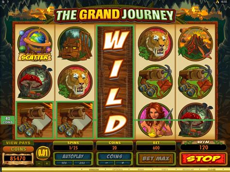 wild slot symbol Beste Online Casino Bonus 2023