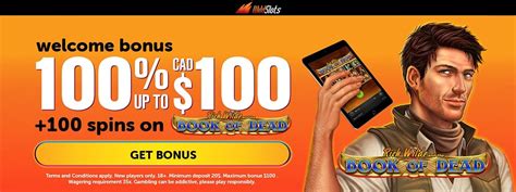 wild slots casino porr canada