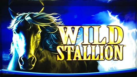 wild stallion slot machine youtube 2016 iebg france