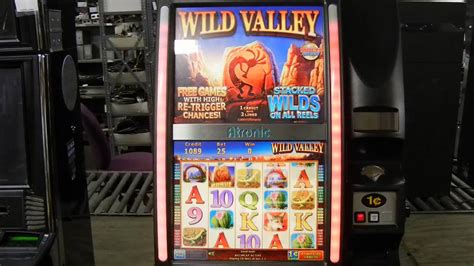wild valley slot/