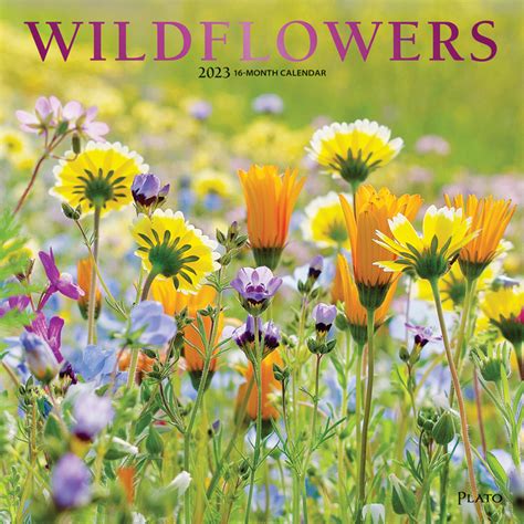 Read Online Wild Flowers Calendar 2018 16 Month Calendar 