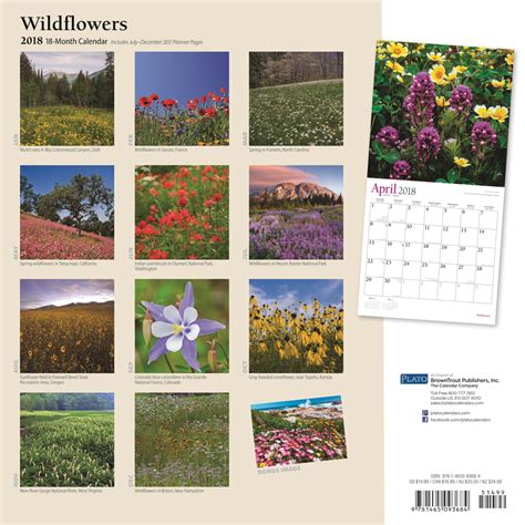 Download Wildflowers 2018 Calendar 
