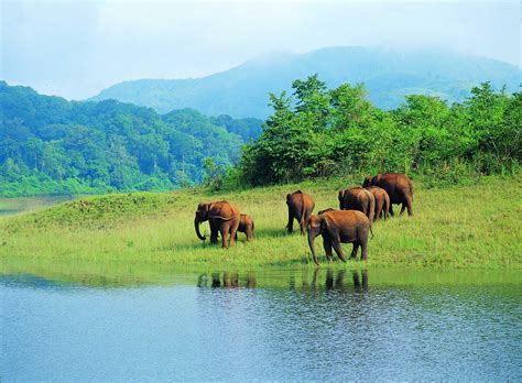 wildlife sanctuaries in kerala pdf