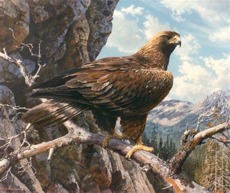 Full Download Wildlife The Nature Paintings Of Carl Brenders 