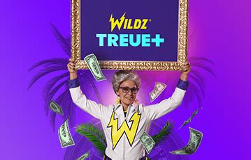 wildz bonus bestandskunden frdx switzerland