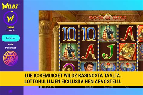 wildz casino kokemuksia anya canada