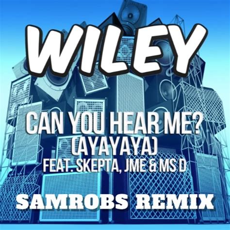 wiley can you hear me remix