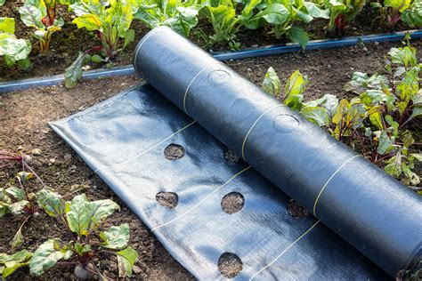 Will Vegetable Roots Grow Through Landscape Fabric?