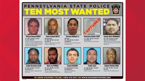 Will Countys Most Wanted Caught On Camera In Mugshot Zone