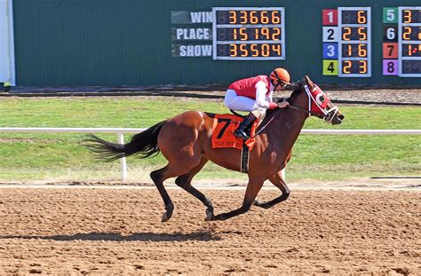 will rogers downs oklahoma