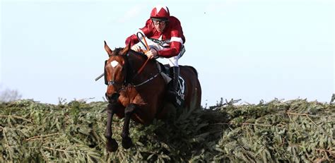 william hill odds grand national